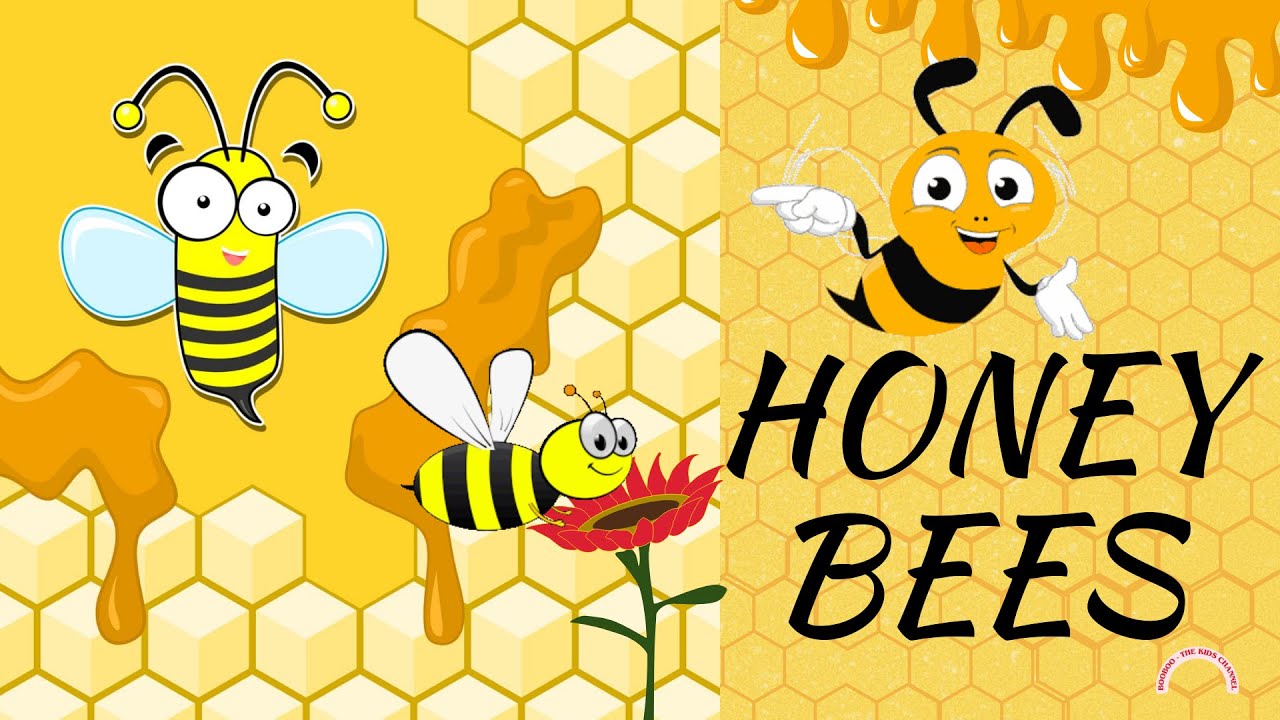 🐝Honey Bees for Kids | Facts about Honey Bees | Pollination | Booboo-thekidschannel 