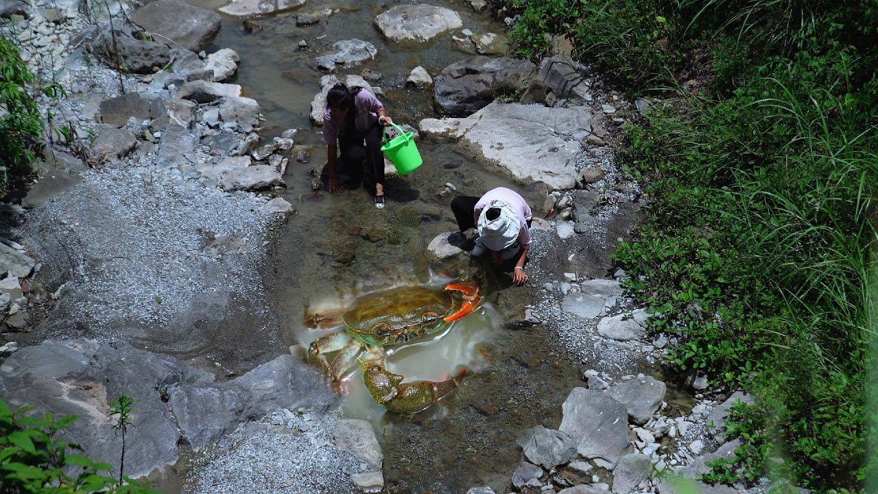 Mountain Crab: The Treasure in the Deep Mountain