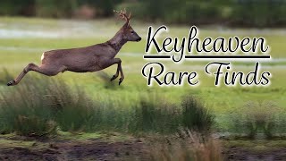 Keyheaven Wildlife Adventure