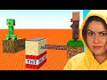 TESTO L'INTELLIGENZA DEI MOSTRI SU MINECRAFT
