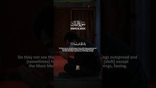 surah mulk 18-20 with rain sound | sleeping with quran | Qiraat Soul #peacefulsleep #اكسبلور