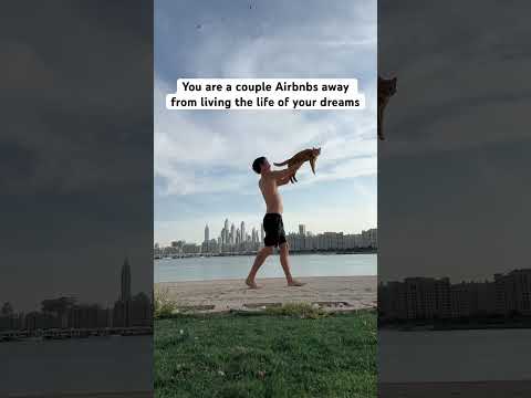 Thumbnail for BNB UNI