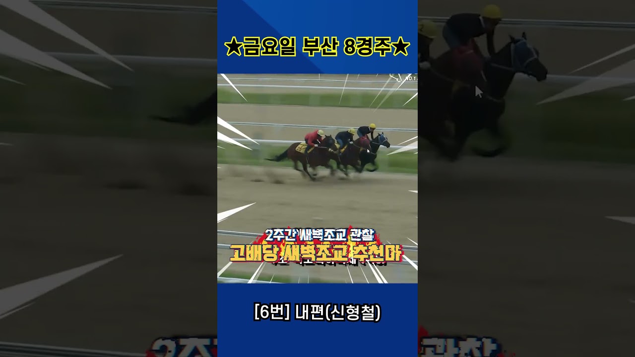 7월24일 금요일 부산 8경주!! 2주간 훈련보인 강백호의 새벽조교 쏘스마!!