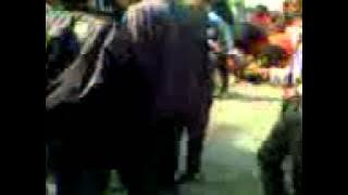 hikari band - sorban palid -