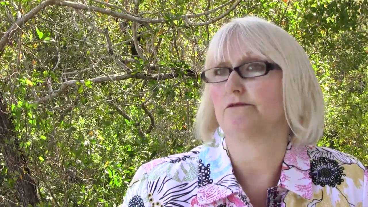 Birgie Vertesch, Executive Director, "Ding" Darling Wildlife Society - Vision for the Refuge System