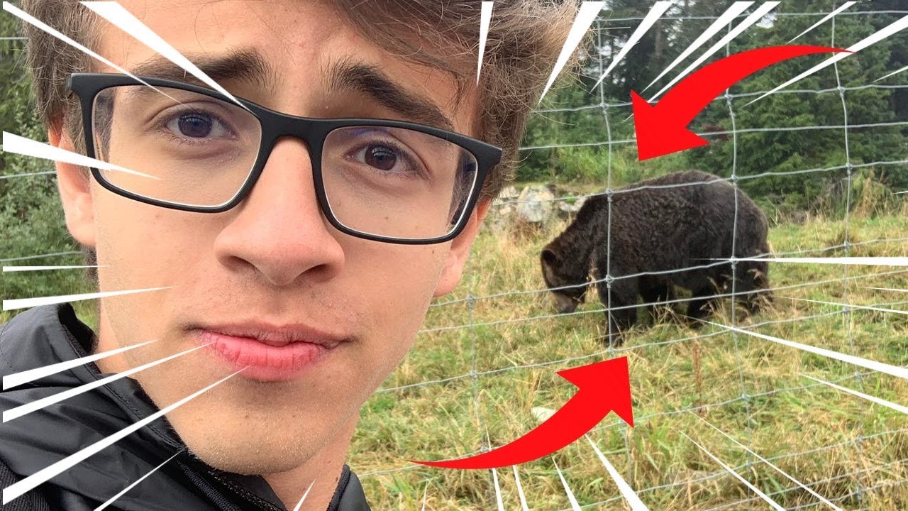 ENCONTREI UM URSO NA MONTANHA - GROUSE MOUNTAIN - RICK SANTINA