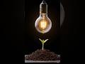 HOW BULB GLOW 💡 #facts #bulb #light #knowledge #aivideo