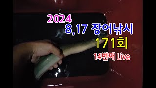 장어낚시(171회)충주호민물장어낚시 혹서기끝자락 비상리미티드395 쉬리피싱 민물장어낚시대