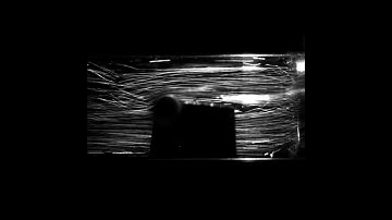 High Speed Video of HeartMate 2 (HM2) - nominal flow