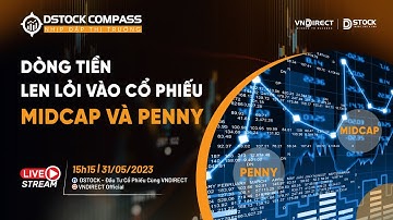 DÒNG TIỀN LEN LỎI VÀO CỔ PHIẾU MIDCAP VÀ PENNY | NHỊP ĐẬP THỊ TRƯỜNG 31/05/2023