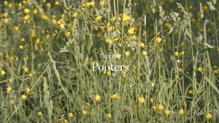 Wild Things - Tutorial 2 - Pooters