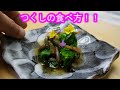 【土筆】つくしの食べ方　採集～料理レシピまで