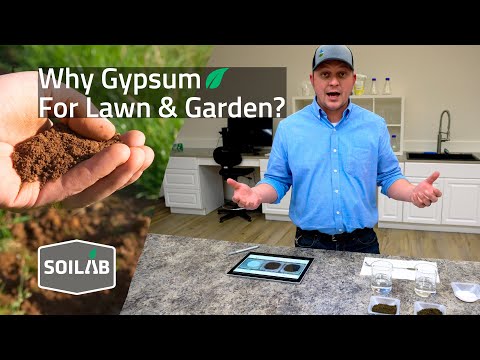 What is Gypsum and How Does It Help My Lawn and Garden?