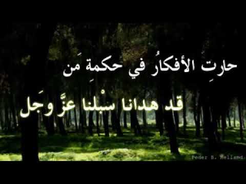 لامية ابن الوردي بصوت ظفر بن راشد