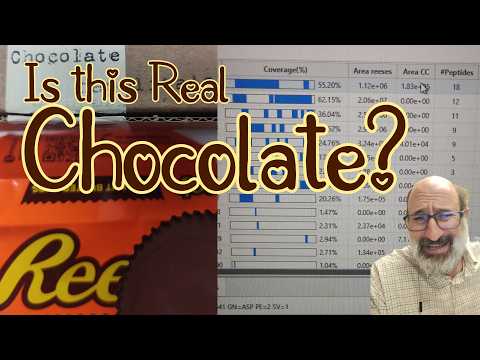 Is this Real chocolate? Reese's Vs. Claudio Corallo by Mass Spec Everything Proteomics