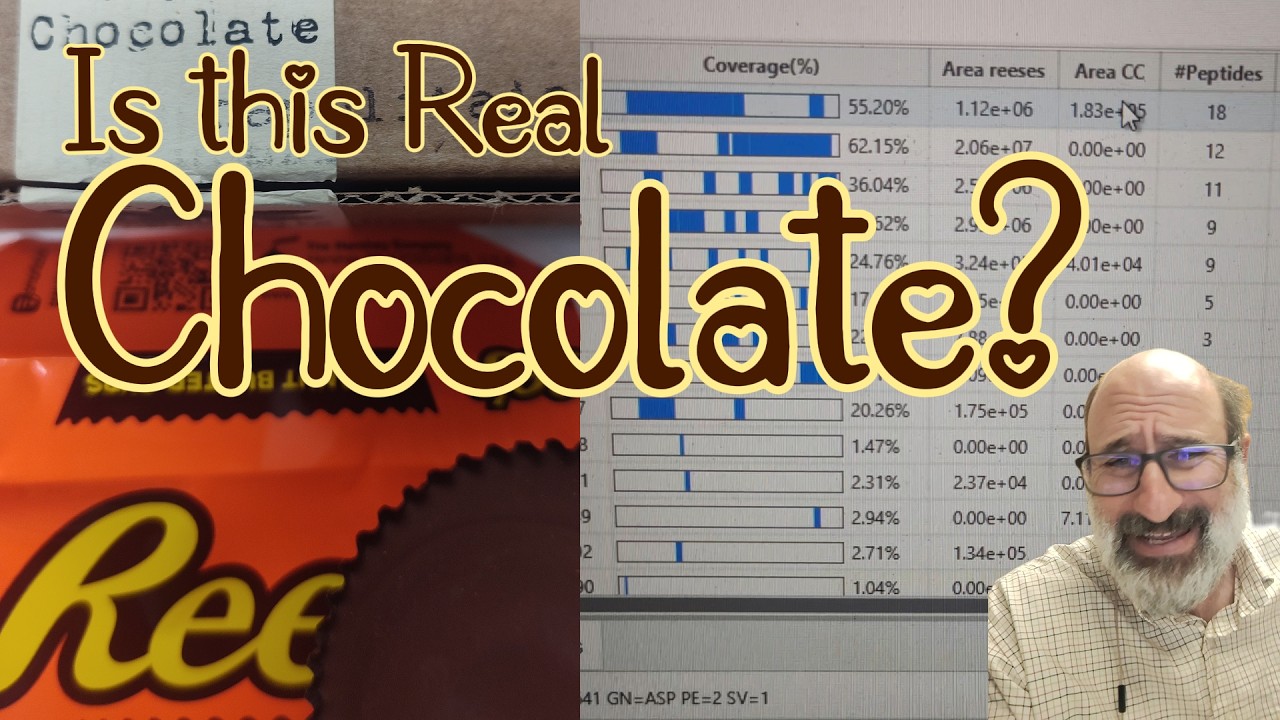 Proteomic Analysis of Chocolate: Industrial Processing Effects on Protein Composition