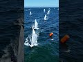 Day 4 | 2025 470 World Championship, Gdynia POL
