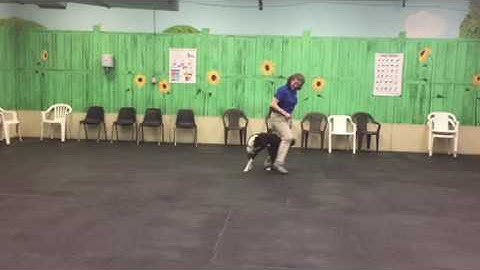 Homework: Freestyle Transitions Week #4