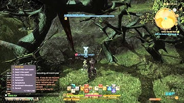 FFXIV:ARR Player botting for wind shards/crystals