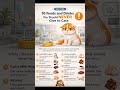 Dangerous Foods for Cats Every Owner Must Know ⚠️