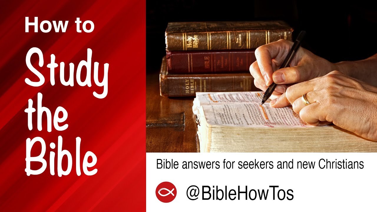 How To Study the Bible (bricks & mortar) YouTube