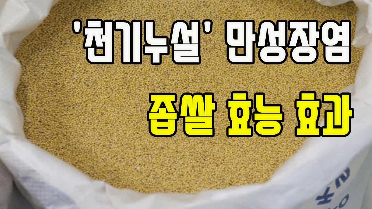 천기누설 만성장염 좁쌀 효능