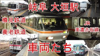 【鉄道】No154 岐阜 大垣駅及び周辺の駅 車両 出発 到着の光景