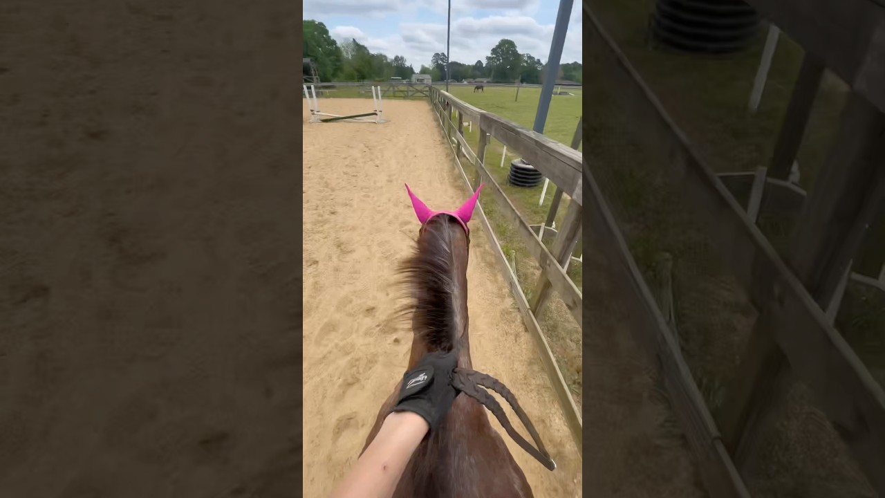 it’s a hot day but the 