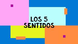 LOS 5 SENTIDOS Y SUS ORGANOS STOP MOTION