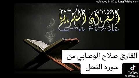 القارئ صلاح الوصابي من سورة النحل