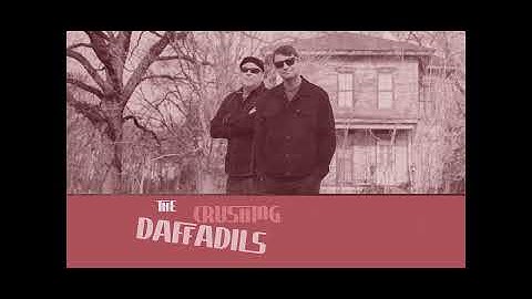THE BACON BROTHERS "Driver" covered by The Crushing Daffodils