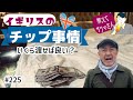 225. 教えてサクマさん！イギリスのチップ事情 / Gabriel's Wharf【ロンドン/街歩き】