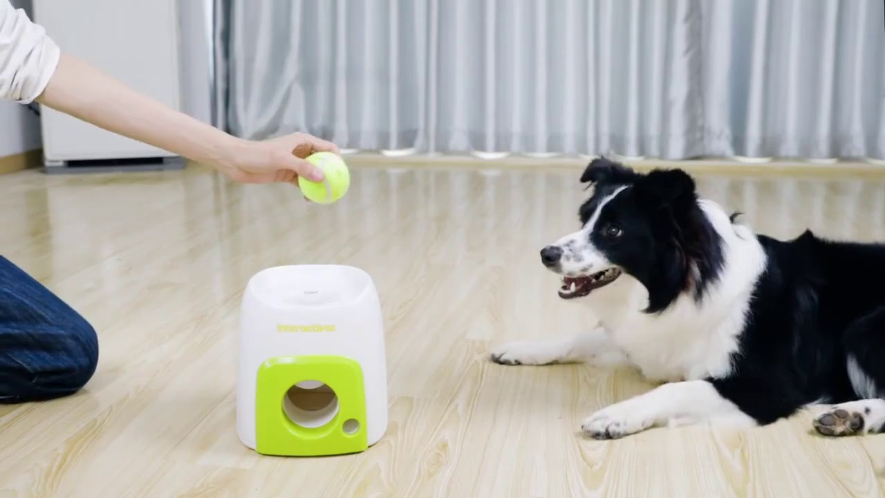Pet Ball Launcher Toy Dog Tennis Food Reward Machine - YouTube
