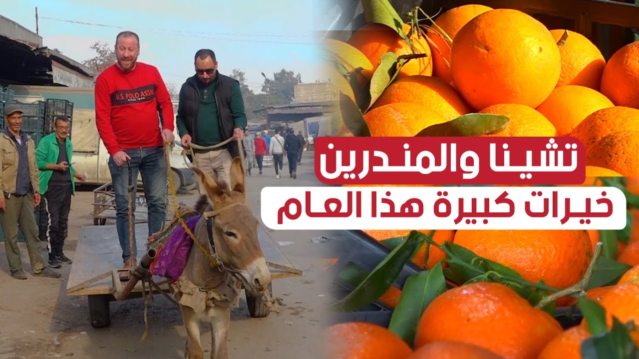 #حسين_الجيجلي يزور سوق الجملة ببوفاريك.. ويكتشف 