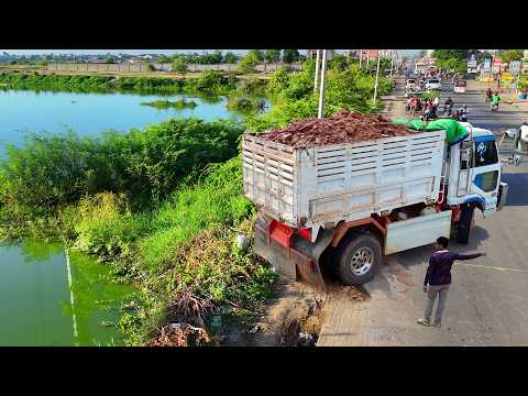 OMG.!! Incredible Landfill Job! Using Skill Dozer & Dump Truck 5Ton Unloading delete Flooded Area 