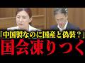 中国製EVに税金を投入！？参政党議員が徹底追求【参政党】