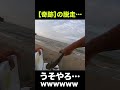 マゴチ、奇跡の脱走……wwwwww