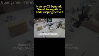 Mercury X1 | Explore the Dynamic Visual Recognition and Grasping (1) #robotics