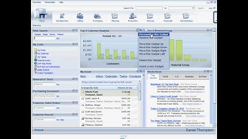 SAP Business All-in-One_ Delivering an Intuitive, Integrated, and Efficient User Experience