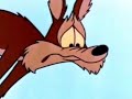 The Road Runner Show Intro Dutch Nederlands Looney Tunes Nederlands 