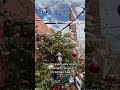 Grounds of Alexandria Sydney Christmas Installation 2022!