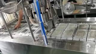 Automatic two lanes linear tray filling closing machine