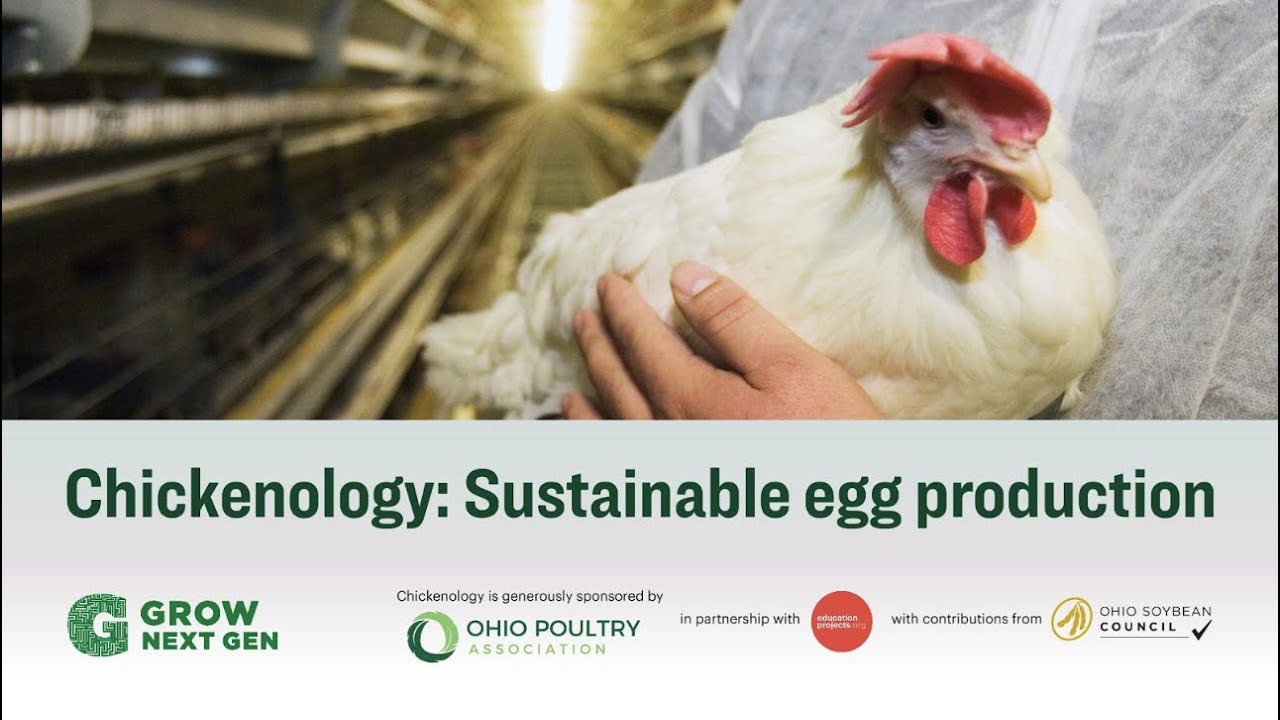 Virtual field trip: Sustainable egg production
