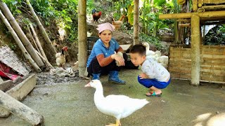 A single girl and an orphan boy build a house for a bamboo duck  | Ly Thi Bien