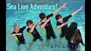 Brytons sea lion adventure! - Bryton Myler