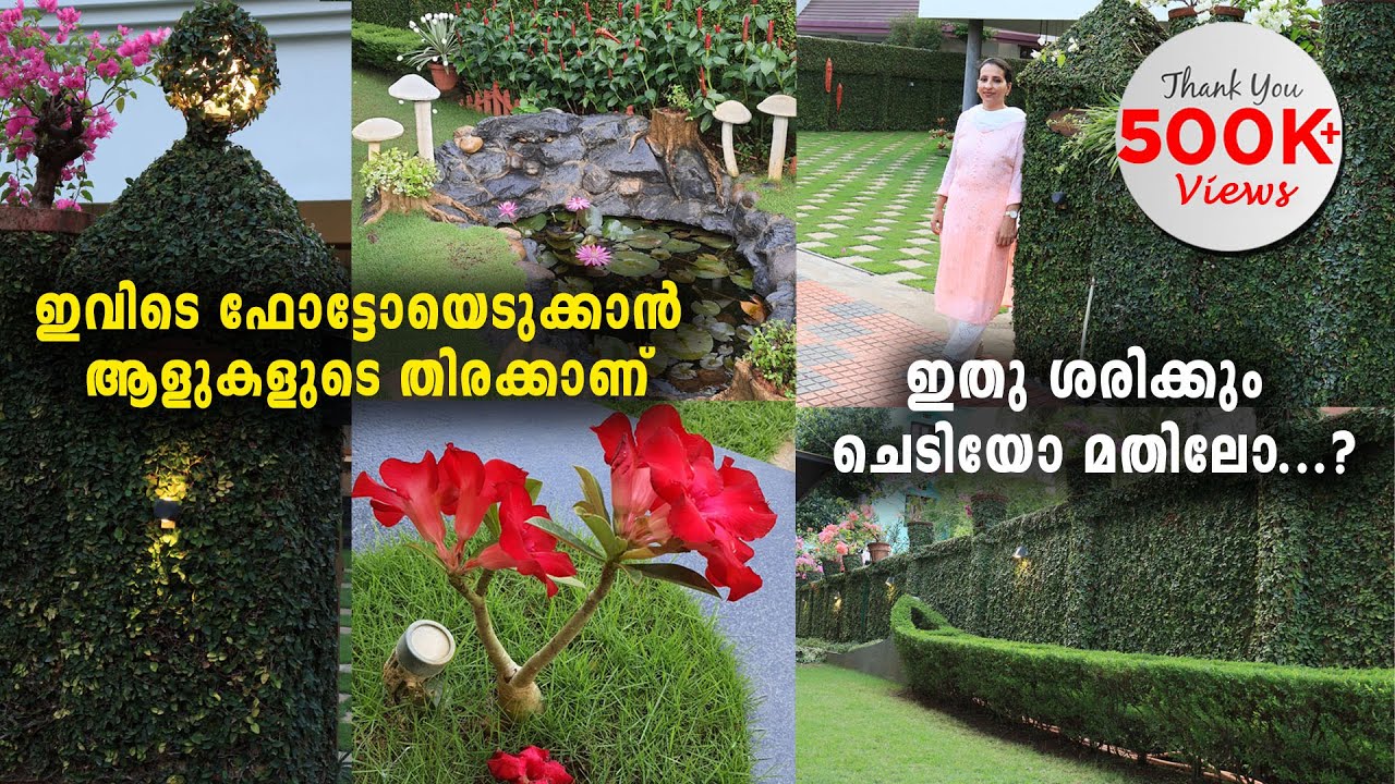 ആരെയും അകർഷിക്കുന്ന വീട്ടുമുറ്റവും ചെടിമതിലും പൂന്തോട്ടവും | Amazing Garden Tour | Wall with Plants