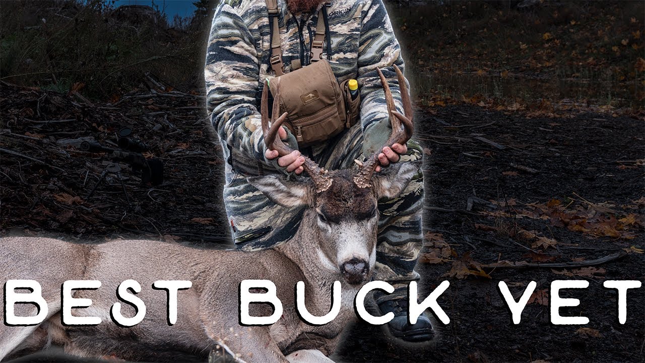 Best Buck Yet - An Oregon Blacktail Hunt