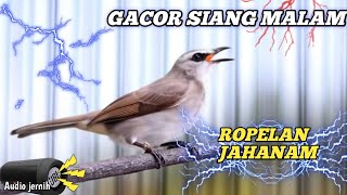 Download Lagu ROPELAN TRUCUK GACOR...FULL 24 JAM TANPA HENTI MP3