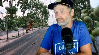 What are ACTUALLY the Most Profitable Crops + When to Scrap a Crop and Start Again