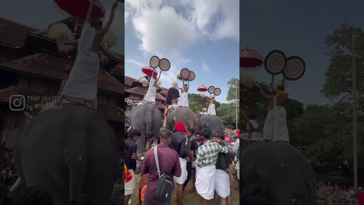 Thrissur pooram 2025 ✨Thechikottukavu Ramachandran